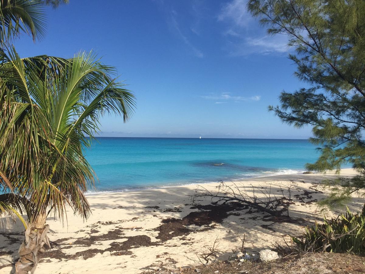 Bimini Seaside Villas - Pink Cottage With Beach View Alice Town  Luaran gambar